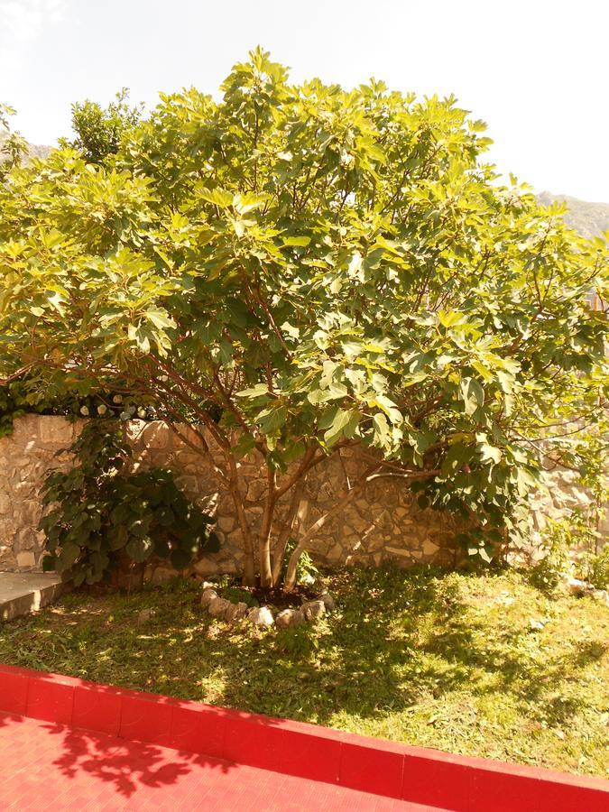 Lorena Rooms Risan Exterior photo